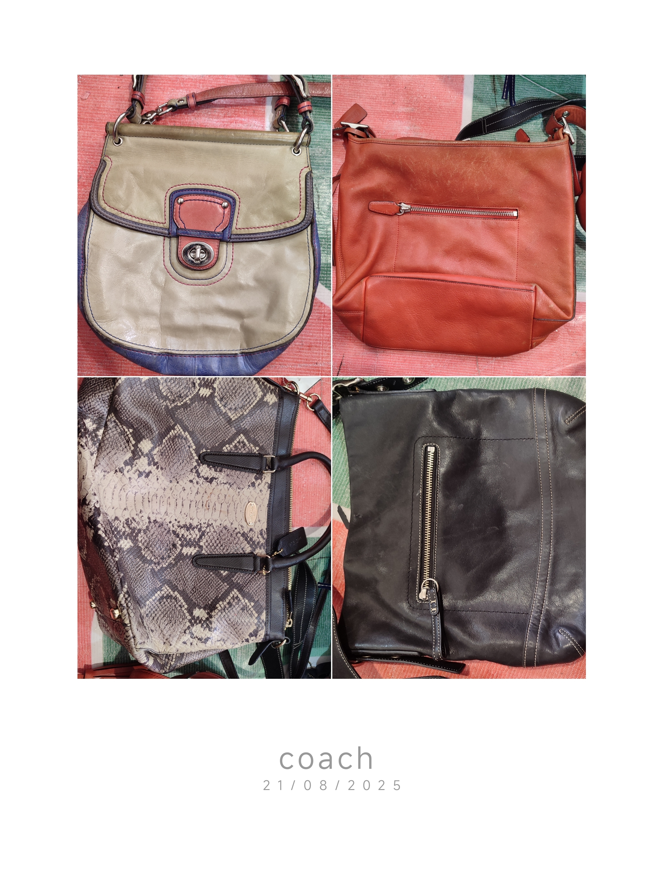coach handbags