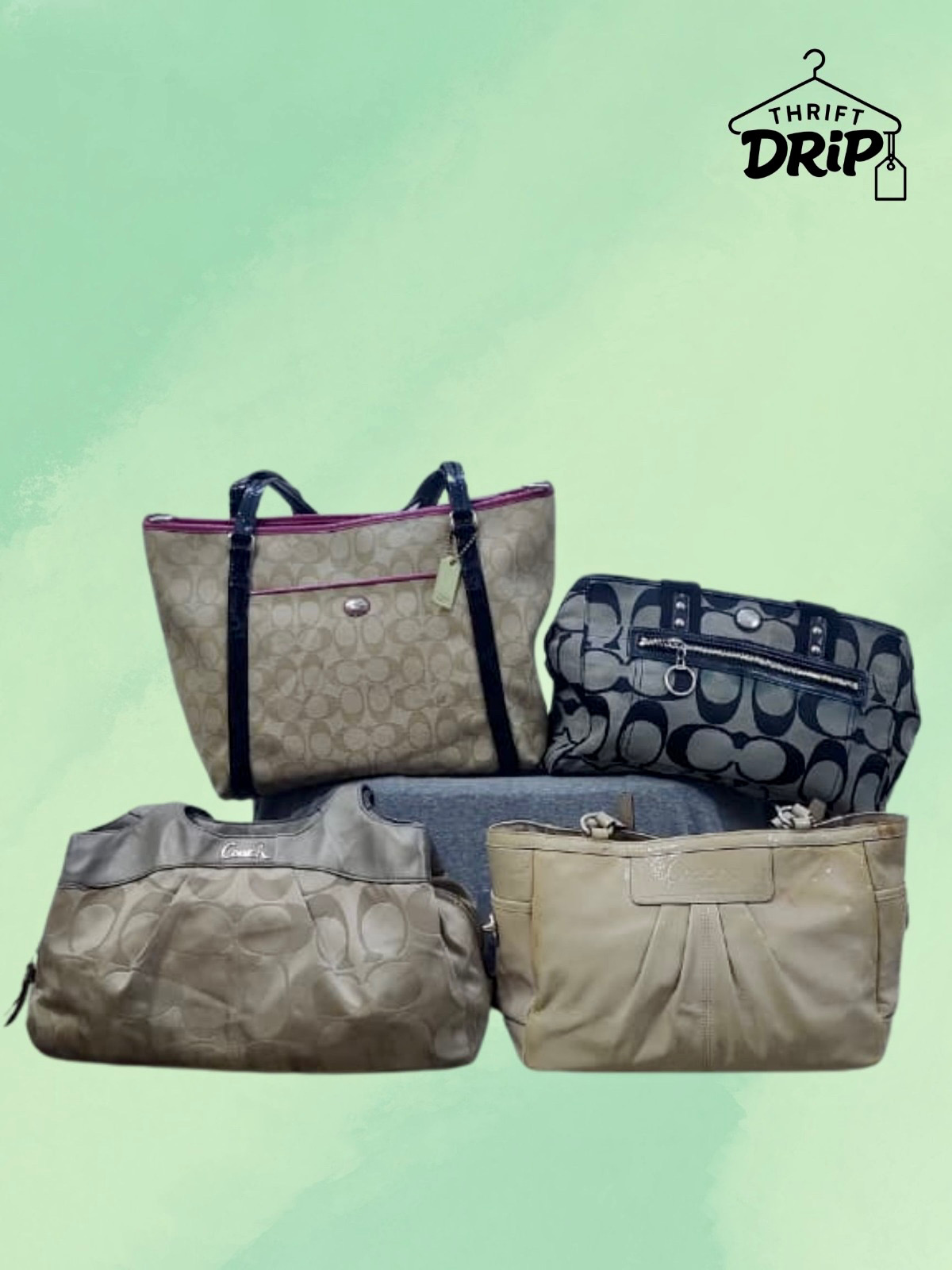 Sacs Coach [TD-124]