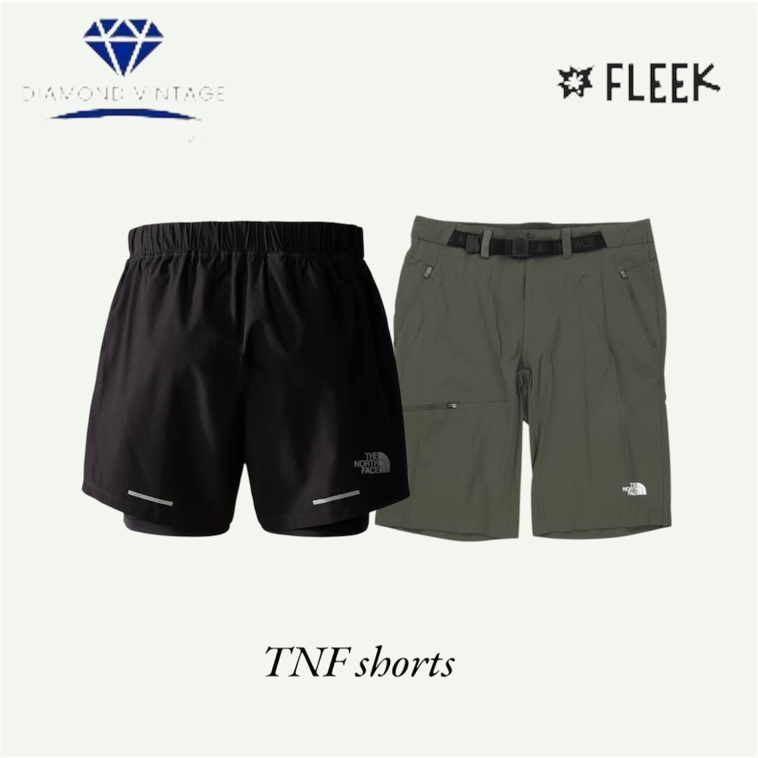 The north face short  (DV -8- 238)