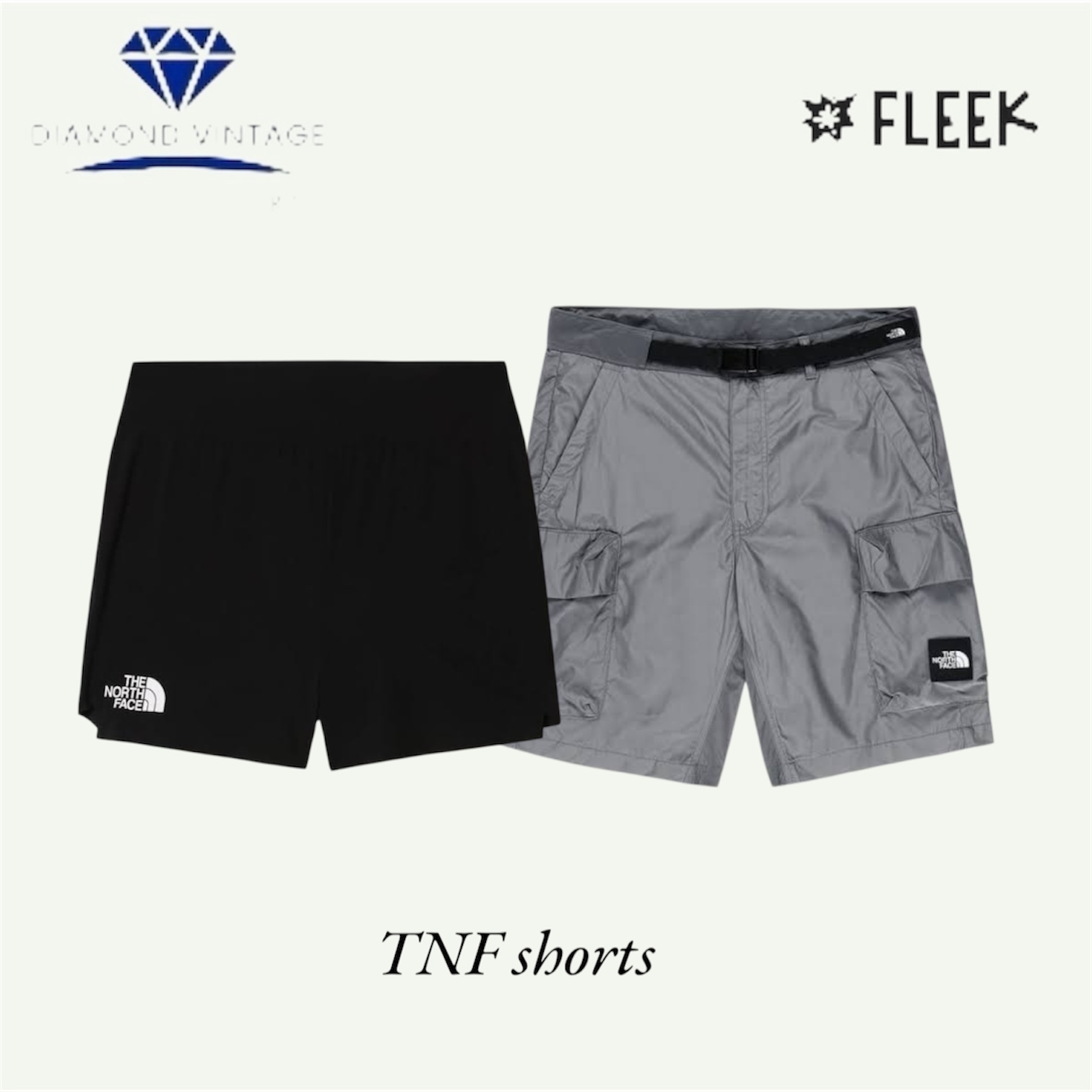 The north face short  (DV -8-236)