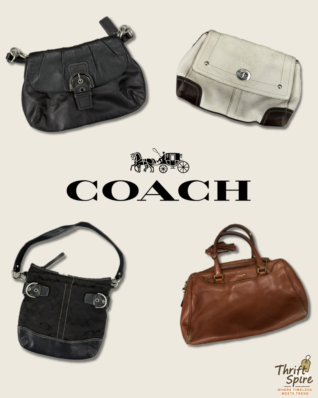 Bolsas COACH - (TS-0181)