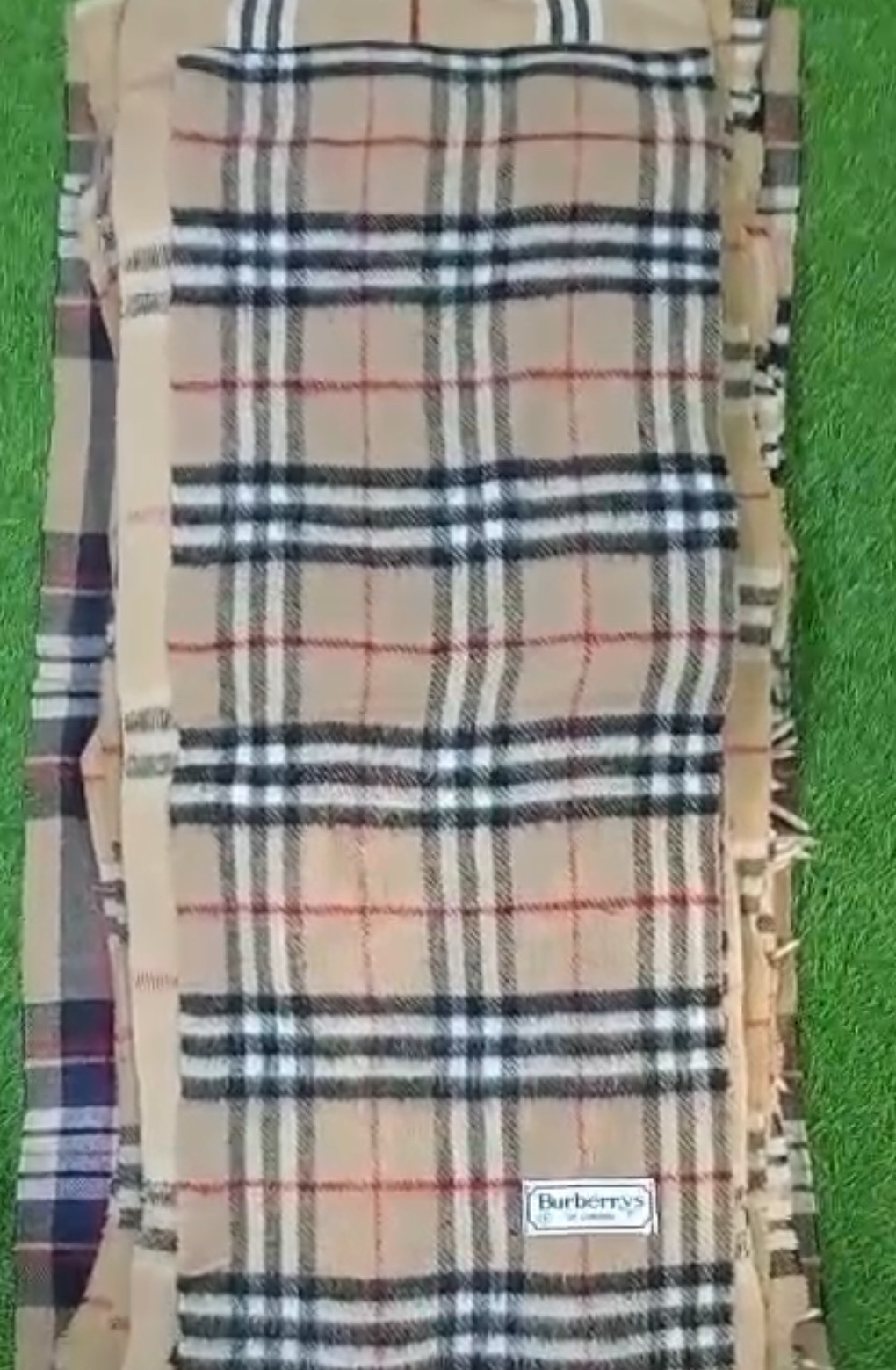 Burberry Scarves