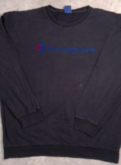 Champion sweatshirt