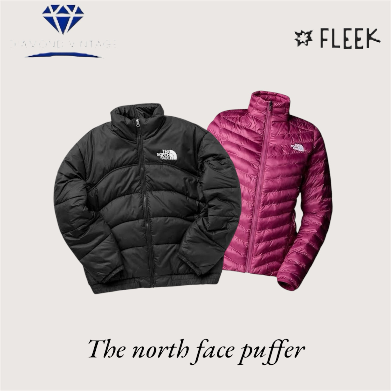The north face puffer  (DV -8- 349)