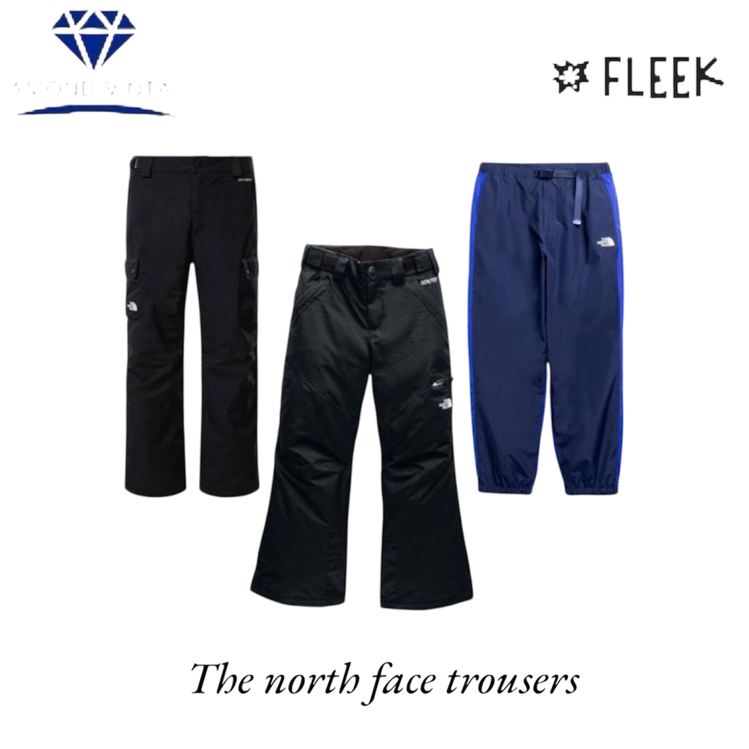 Los pantalones The North Face (DV -8- 368)