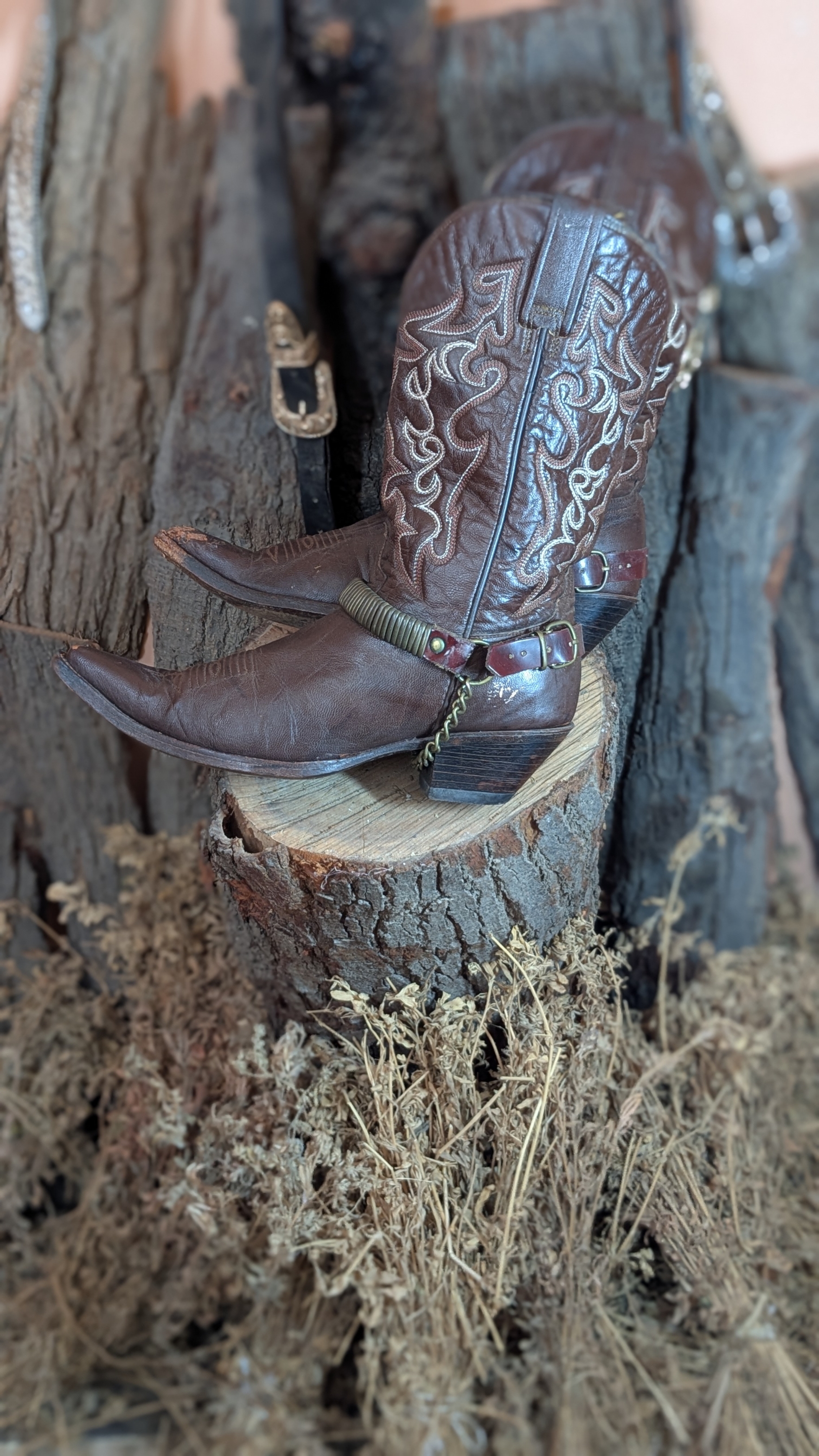 Vintage Cowboy Boots