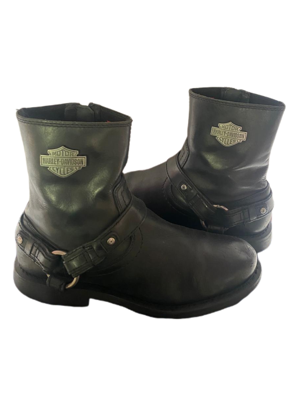 Gv 113 The Best Buckle Cowboy Boots
