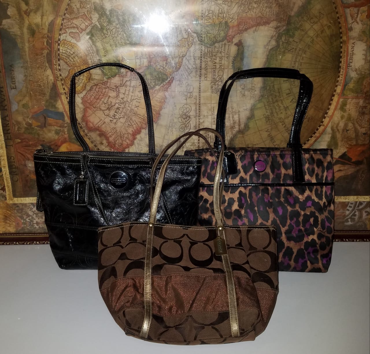 Coach Premium Bags