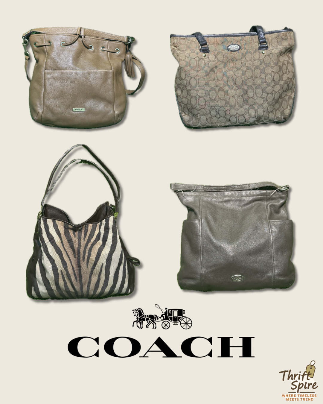 Bolsas COACH - (TS-0193)