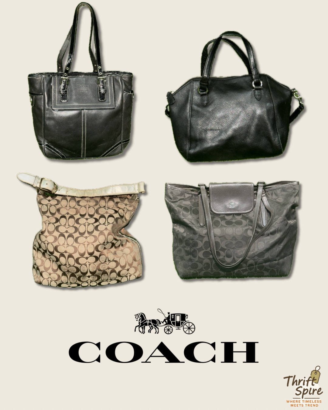 Bolsas COACH - (TS-0194)