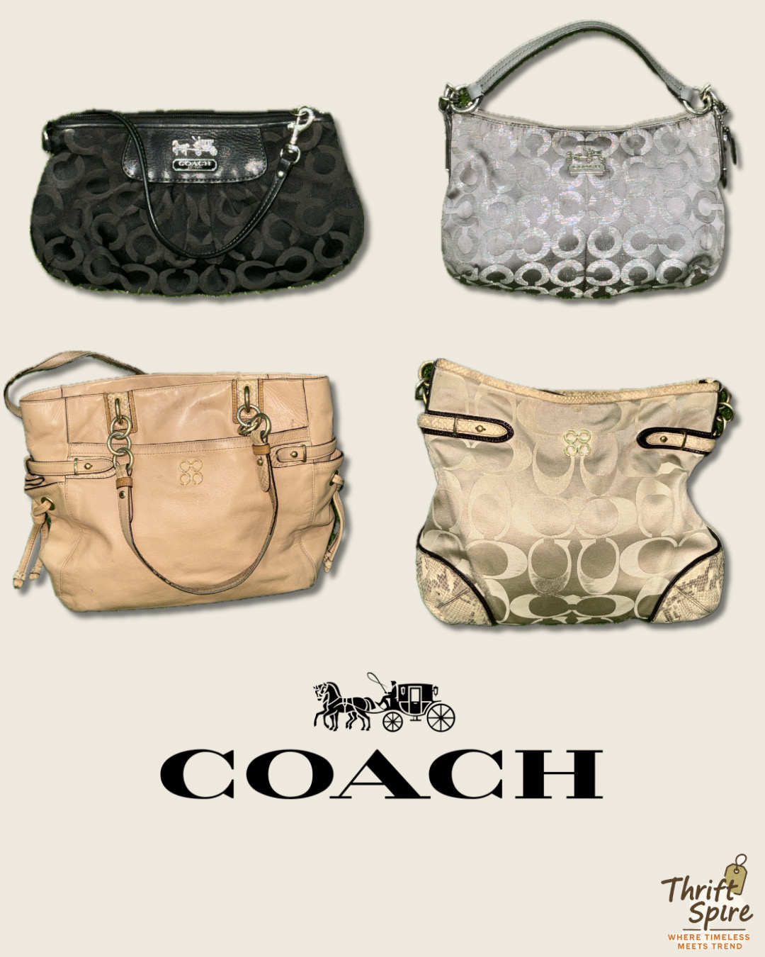 Bolsas COACH - (TS-0195)