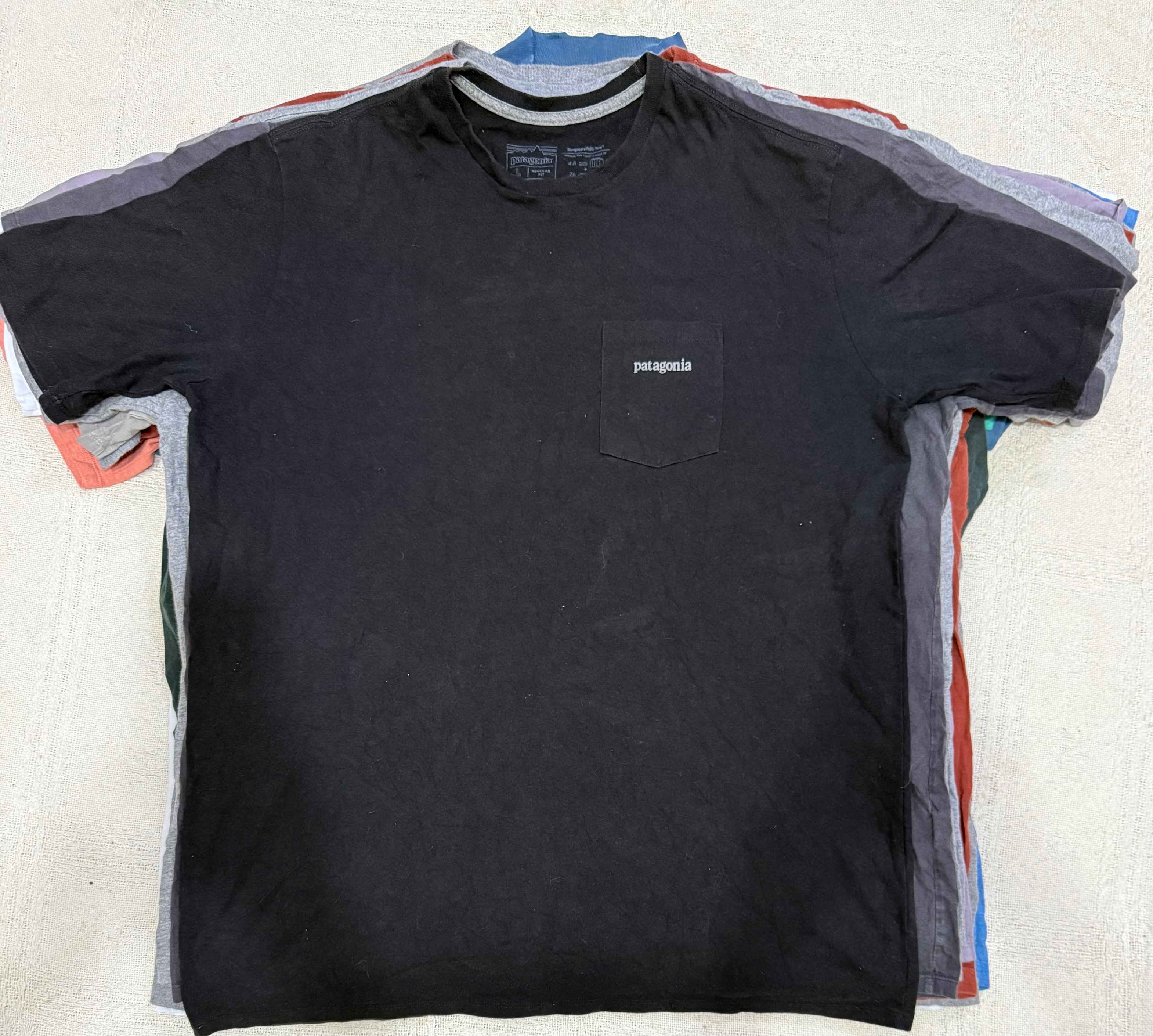 パタゴニア Tシャツ