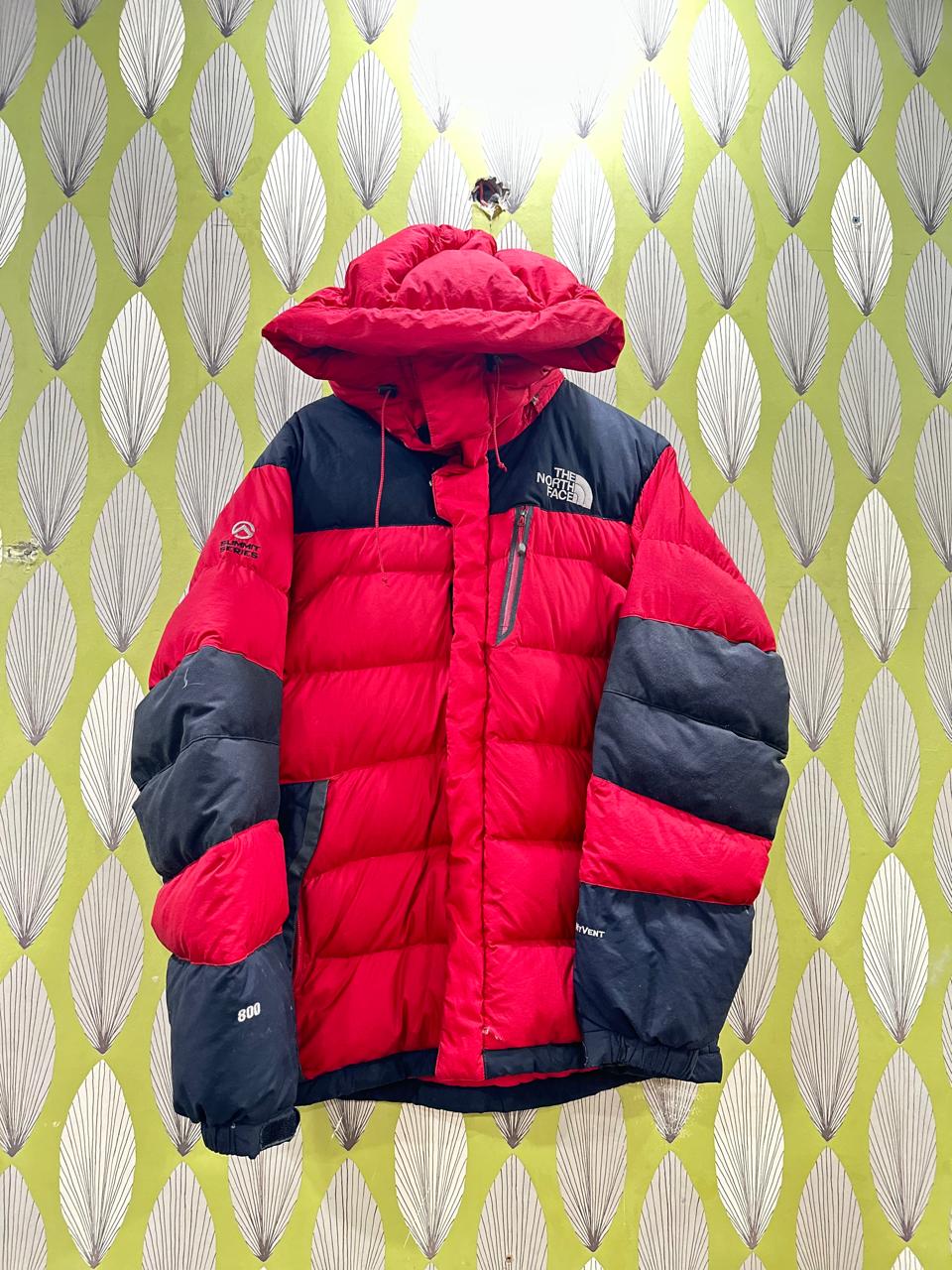Giubbotti Puffer The North Face