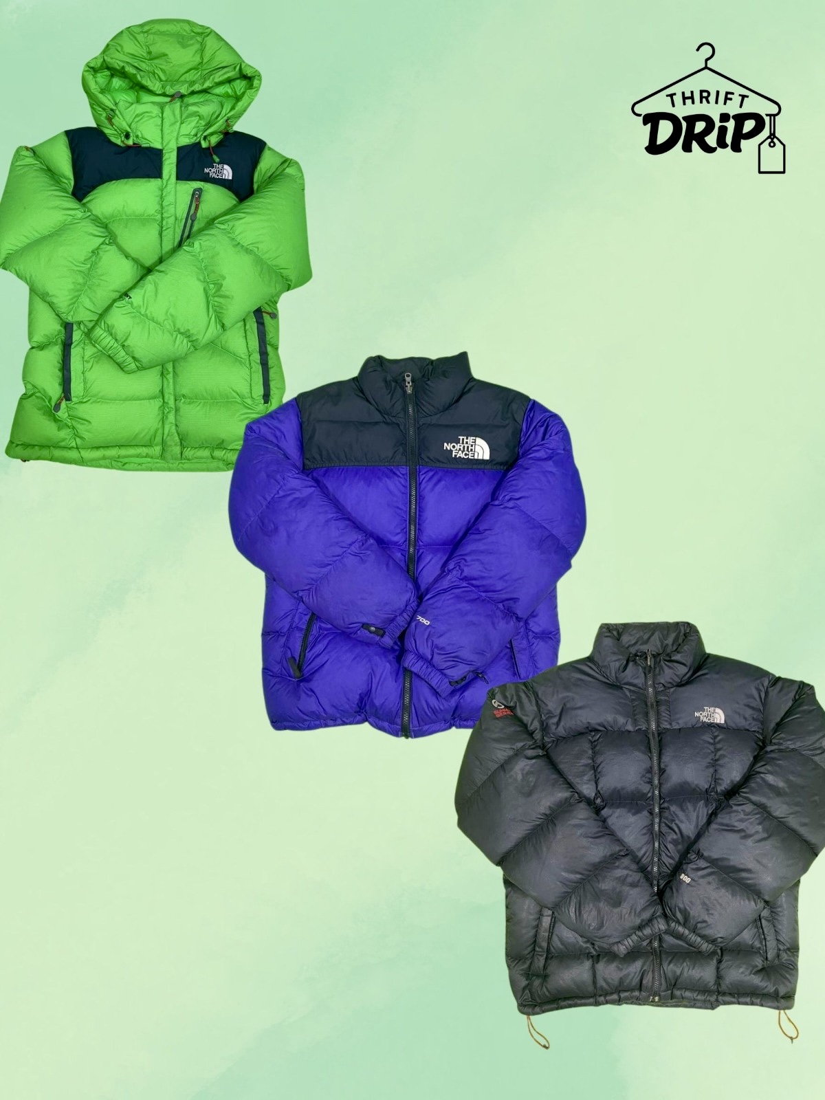 The North Face Puffer Jackets [TD-134]