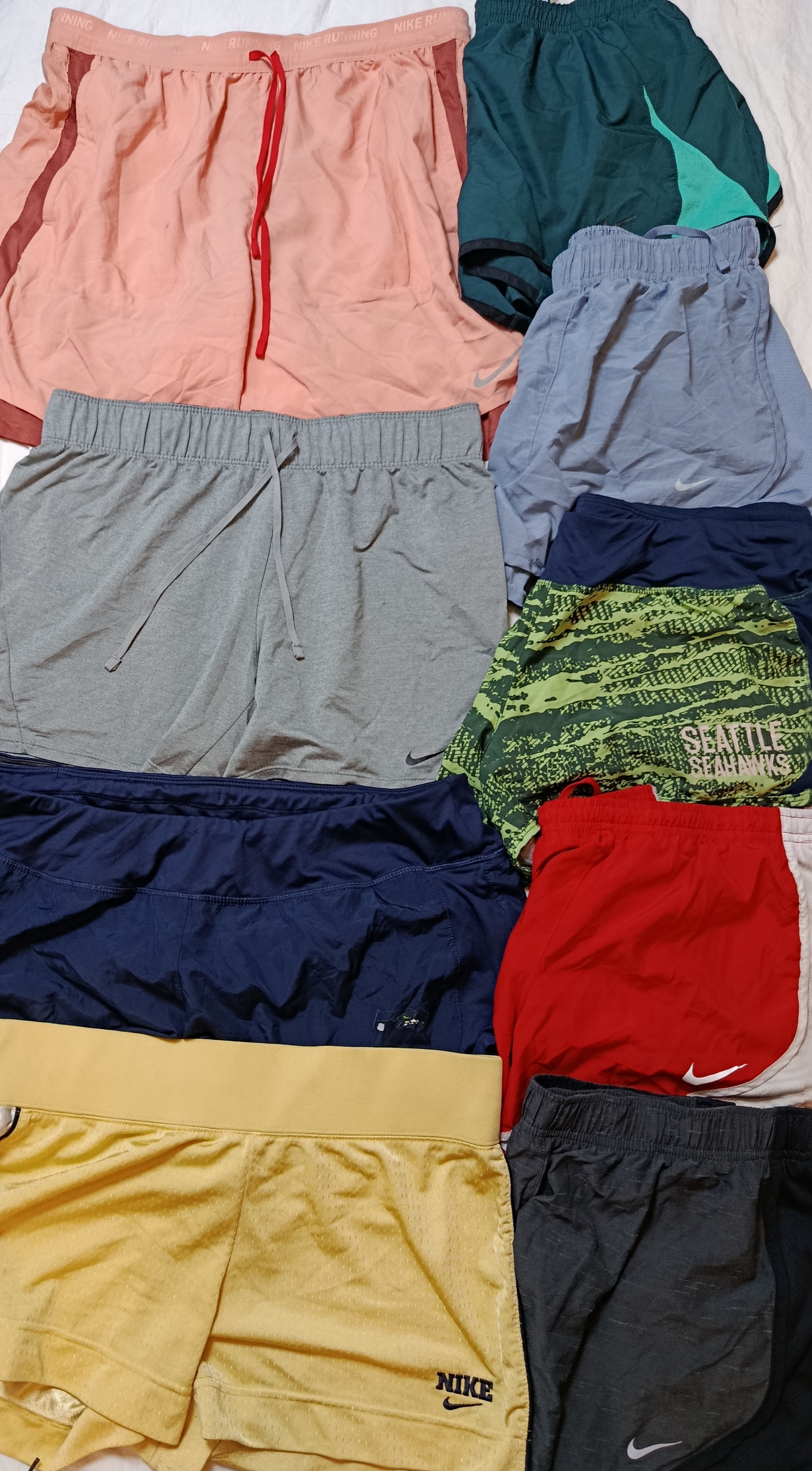 Nike Sport Shorts (2296)