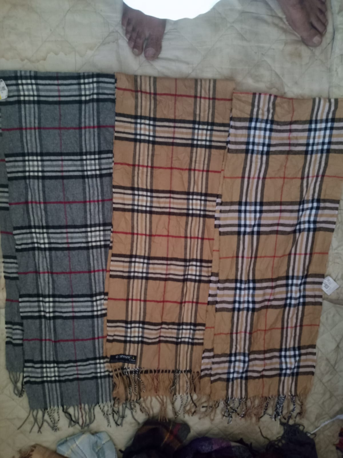 Burberry Scarves