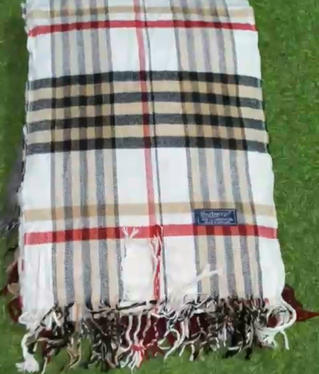 Burberry Scarf
