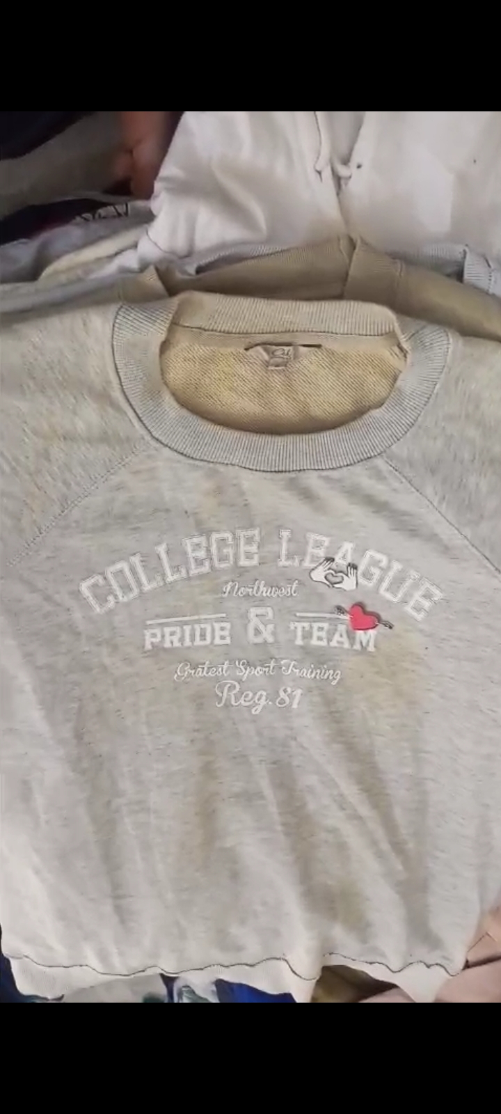 Unbranded college,University and animal,cartoon sweatshirts