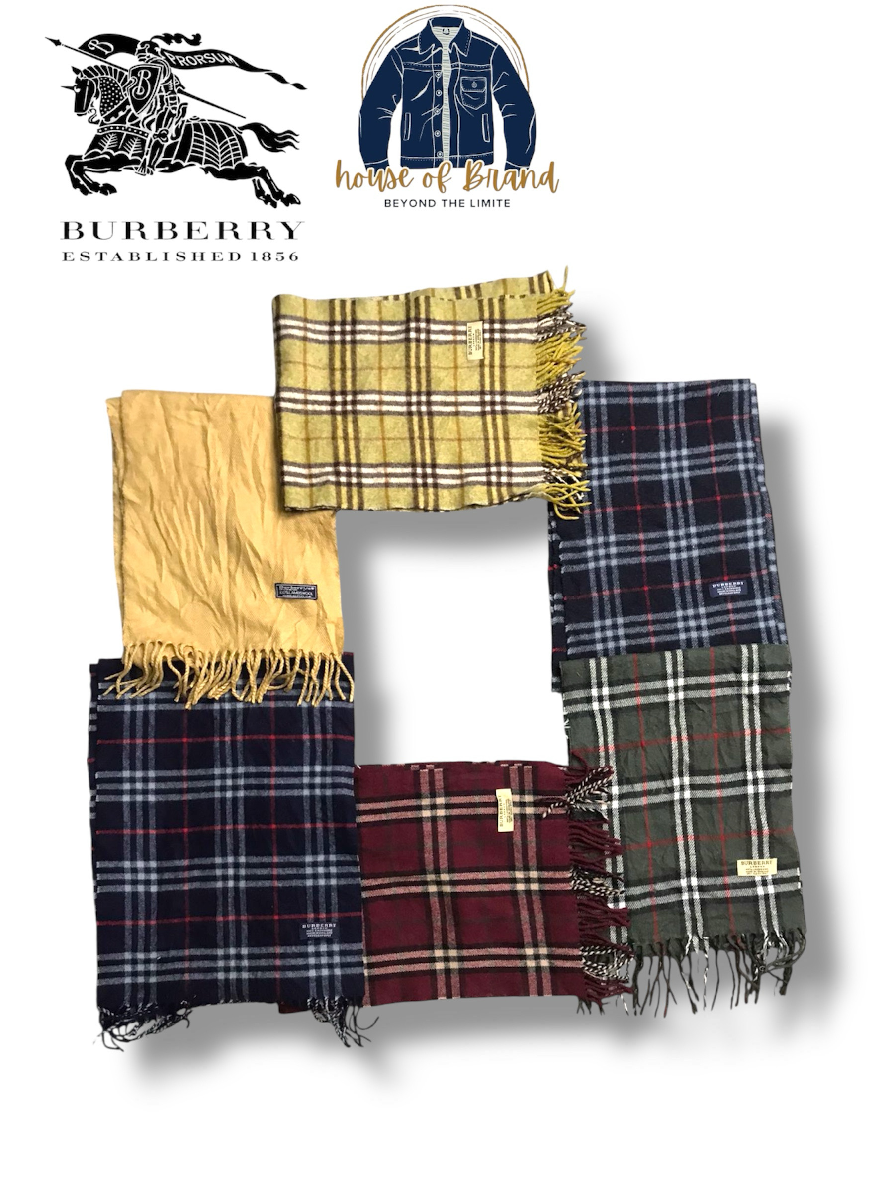 Burberry Scarves