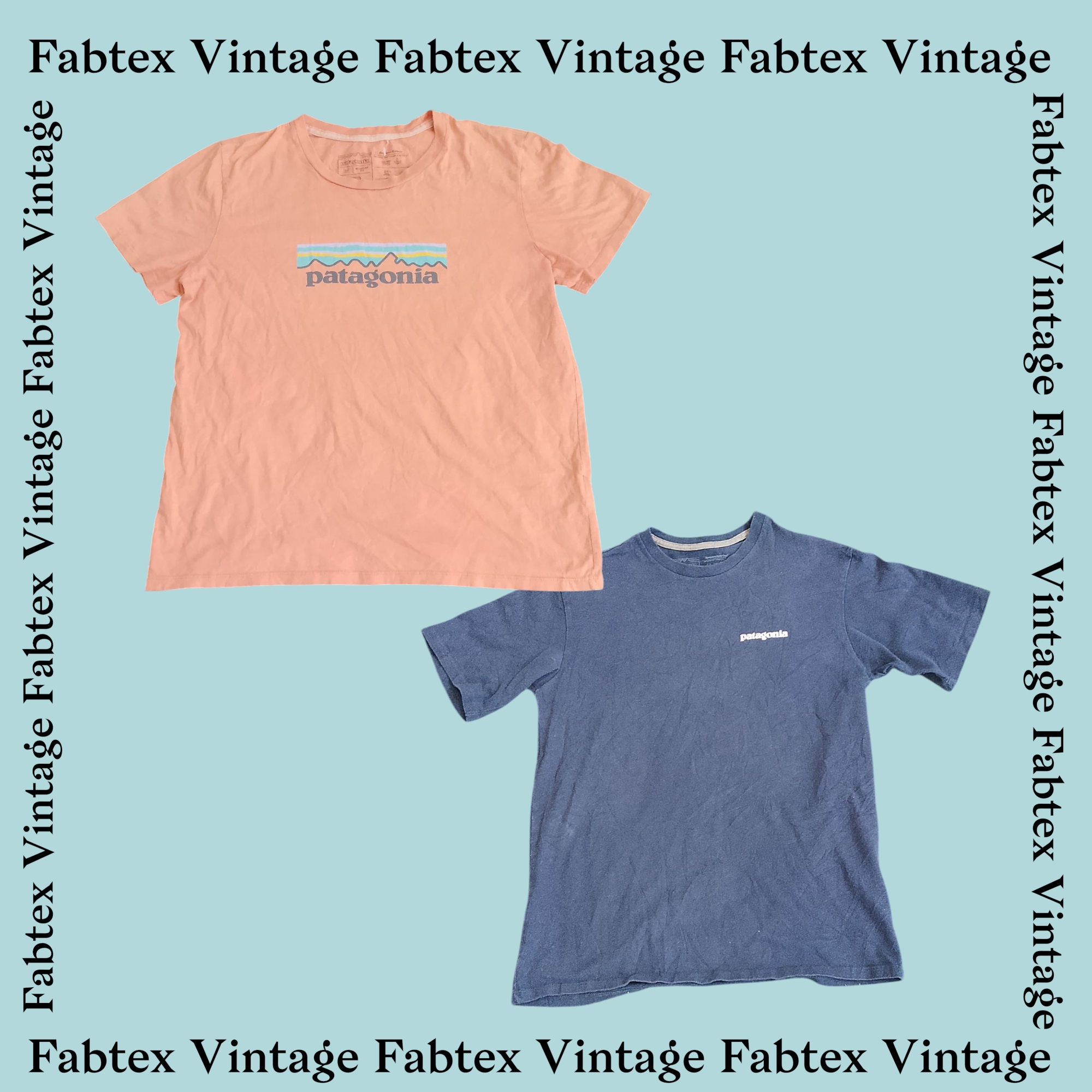 (FV-092) パタゴニア Tシャツ