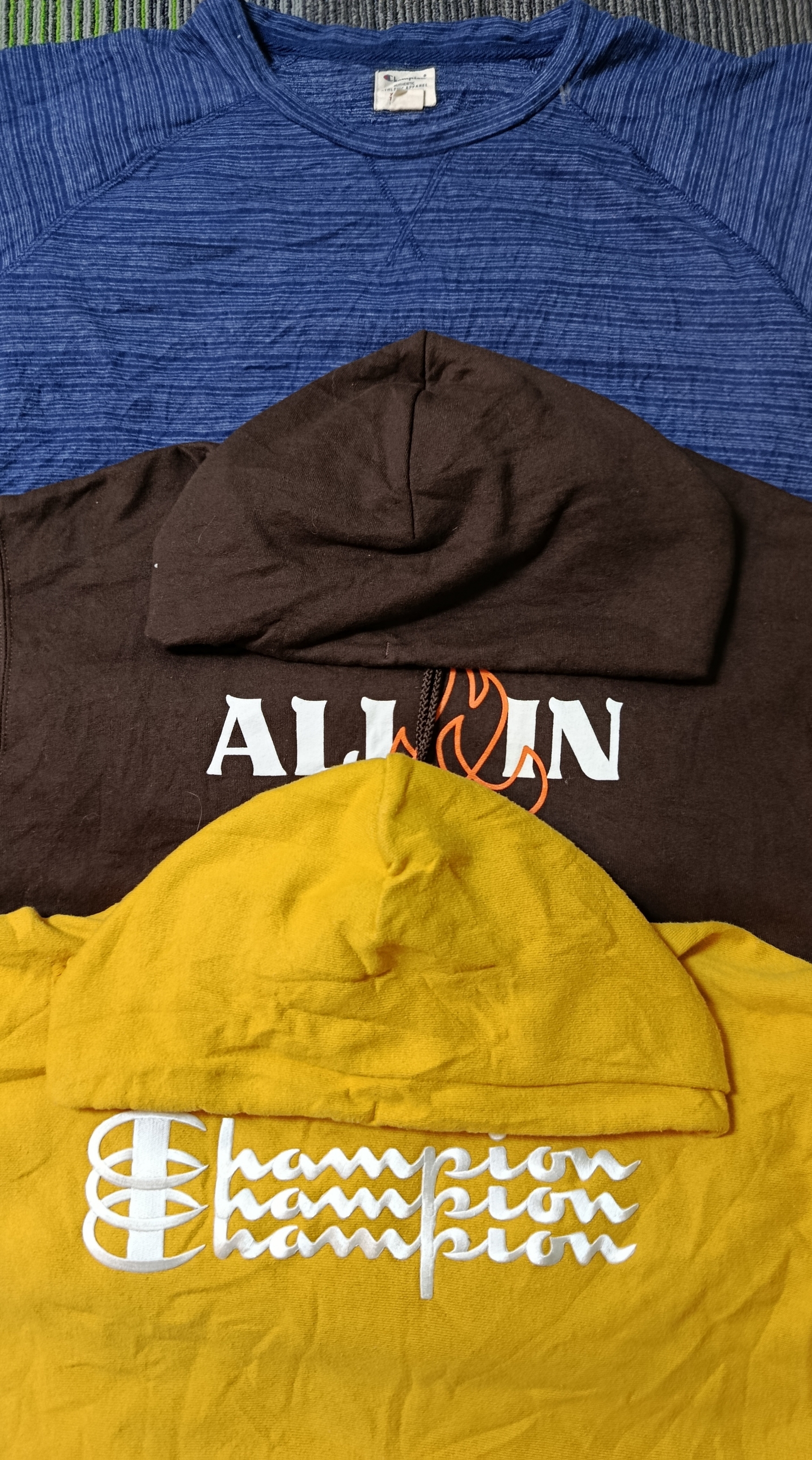 Champion Hoodies/Sweatshirt (2463)