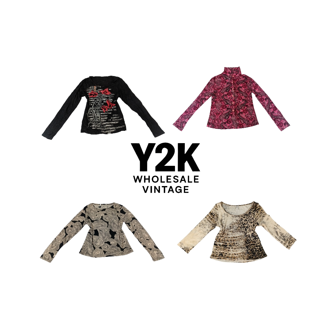 Y2K European Mesh Long Sleeve Tops  (YWV212)
