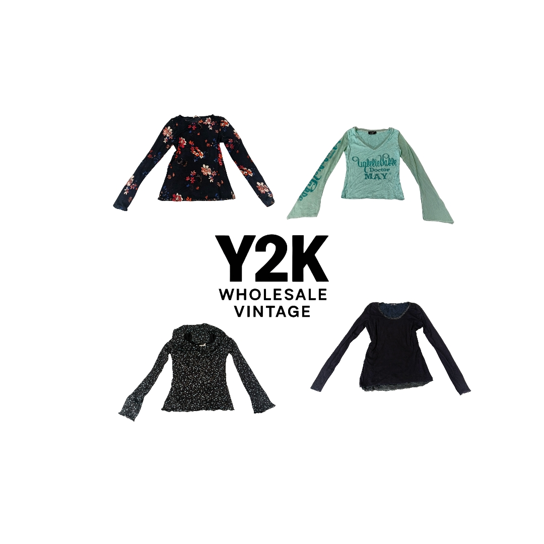 Y2K European Mesh Long Sleeve Tops  (YWV213)