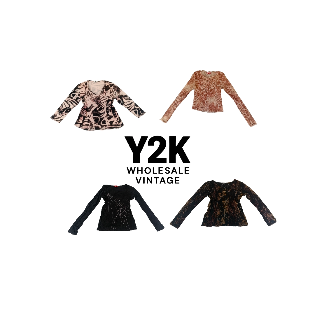 Y2K European Mesh Long Sleeve Tops  (YWV214)