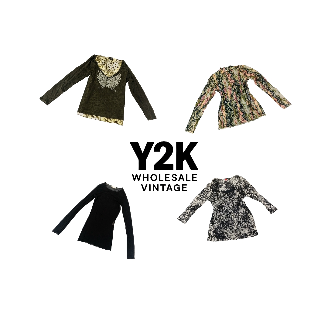 Y2K European Mesh Long Sleeve Tops  (YWV216)