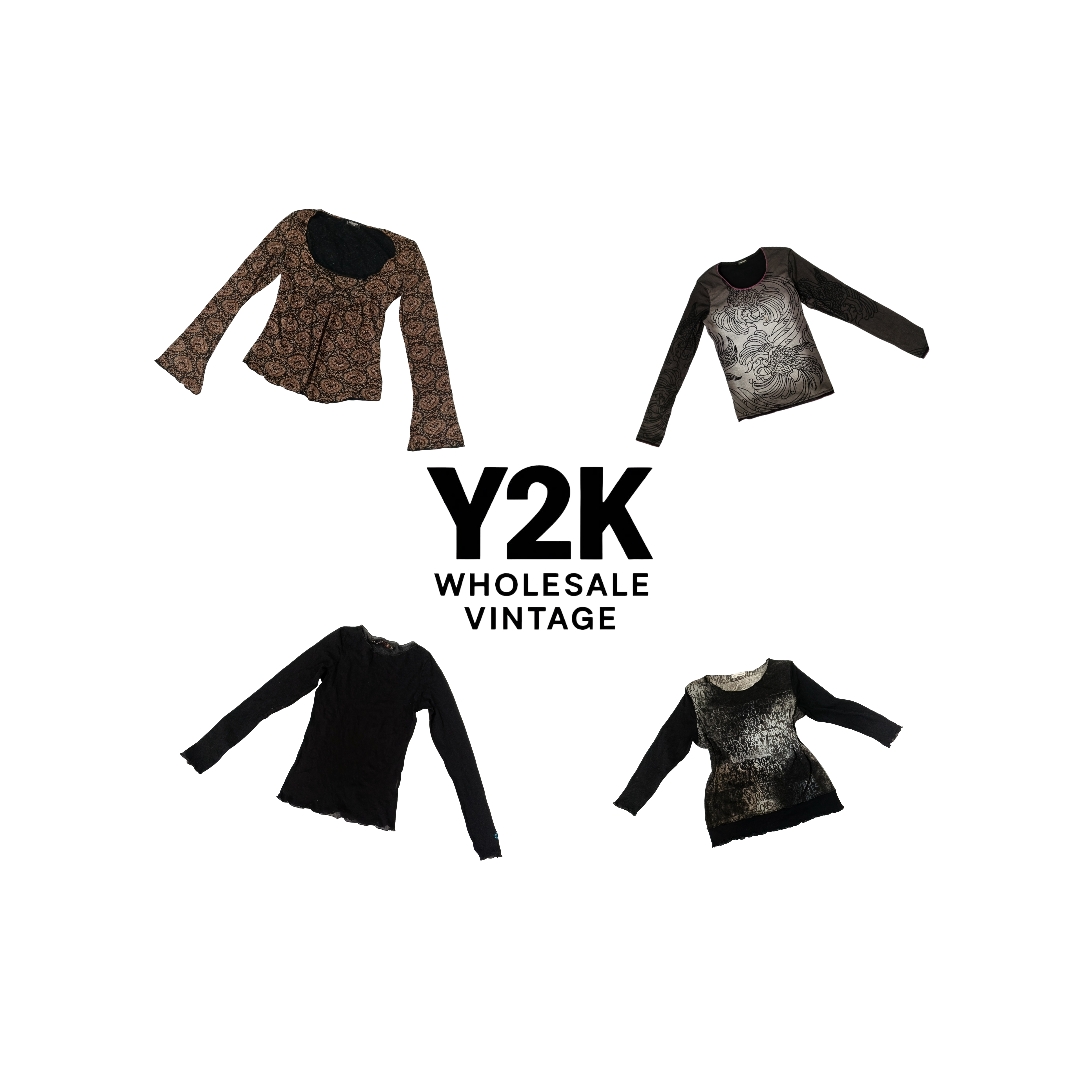 Y2K European Mesh Long Sleeve Tops  (YWV218)
