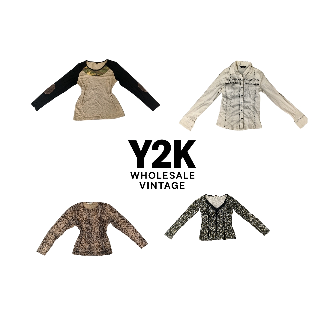 Y2K European Mesh Long Sleeve Tops  (YWV228