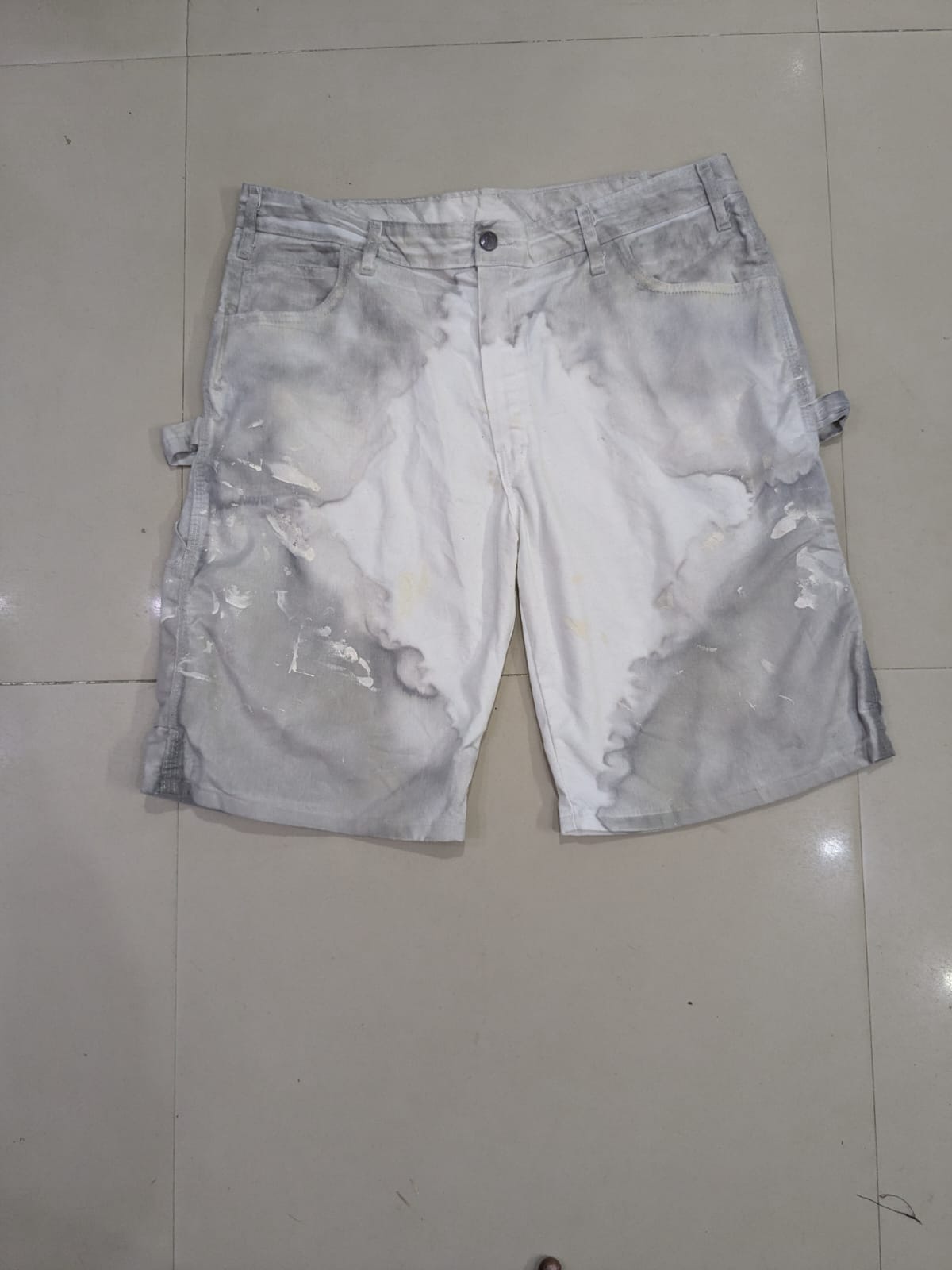 Dickies Shorts