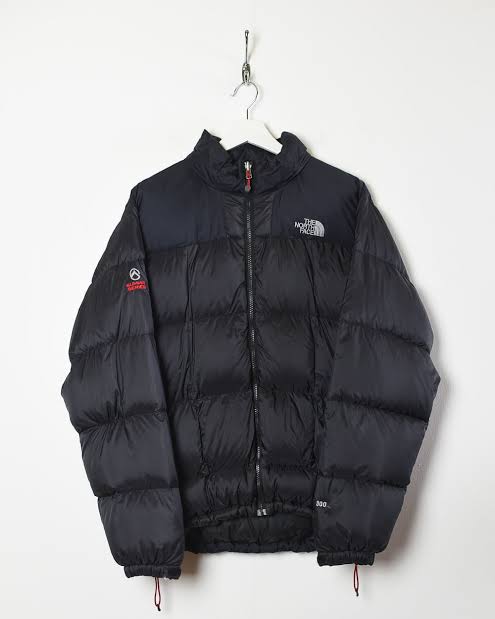 TNF Summit Series Puffers Jackets 21 PCs