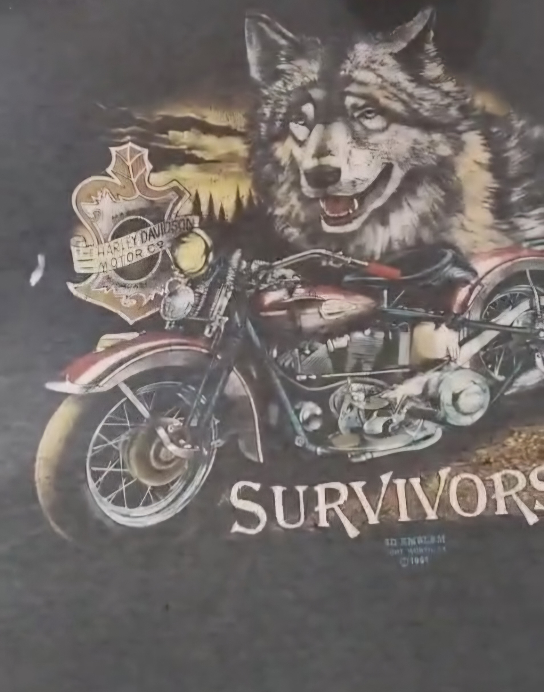 トゥルー ヴィンテージ 80年代＆90年代 ティー