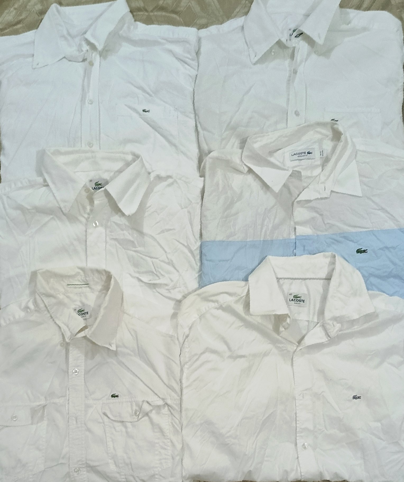 Lacoste shirts