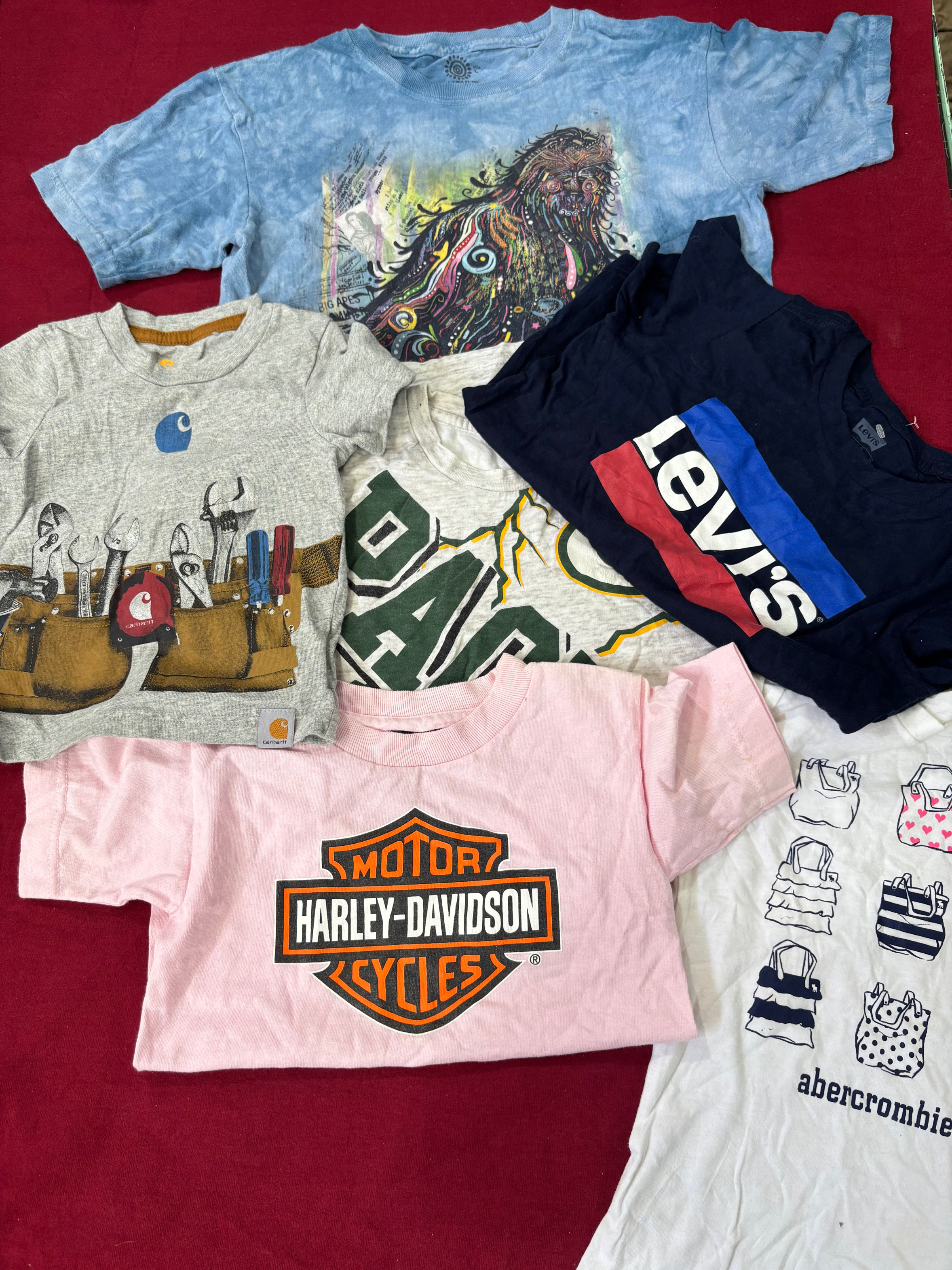 Mixed Brand T-Shirts – Harley, Levi’s & More