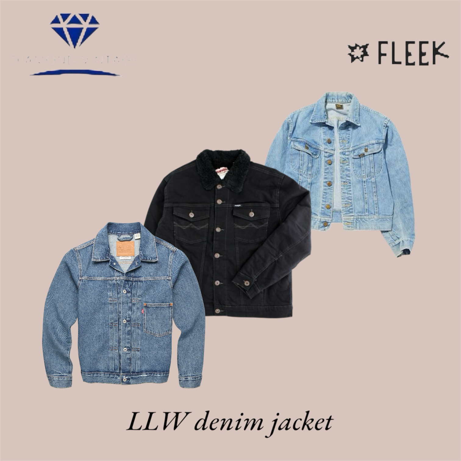 Jaqueta de denim LLW (DV -10-147)