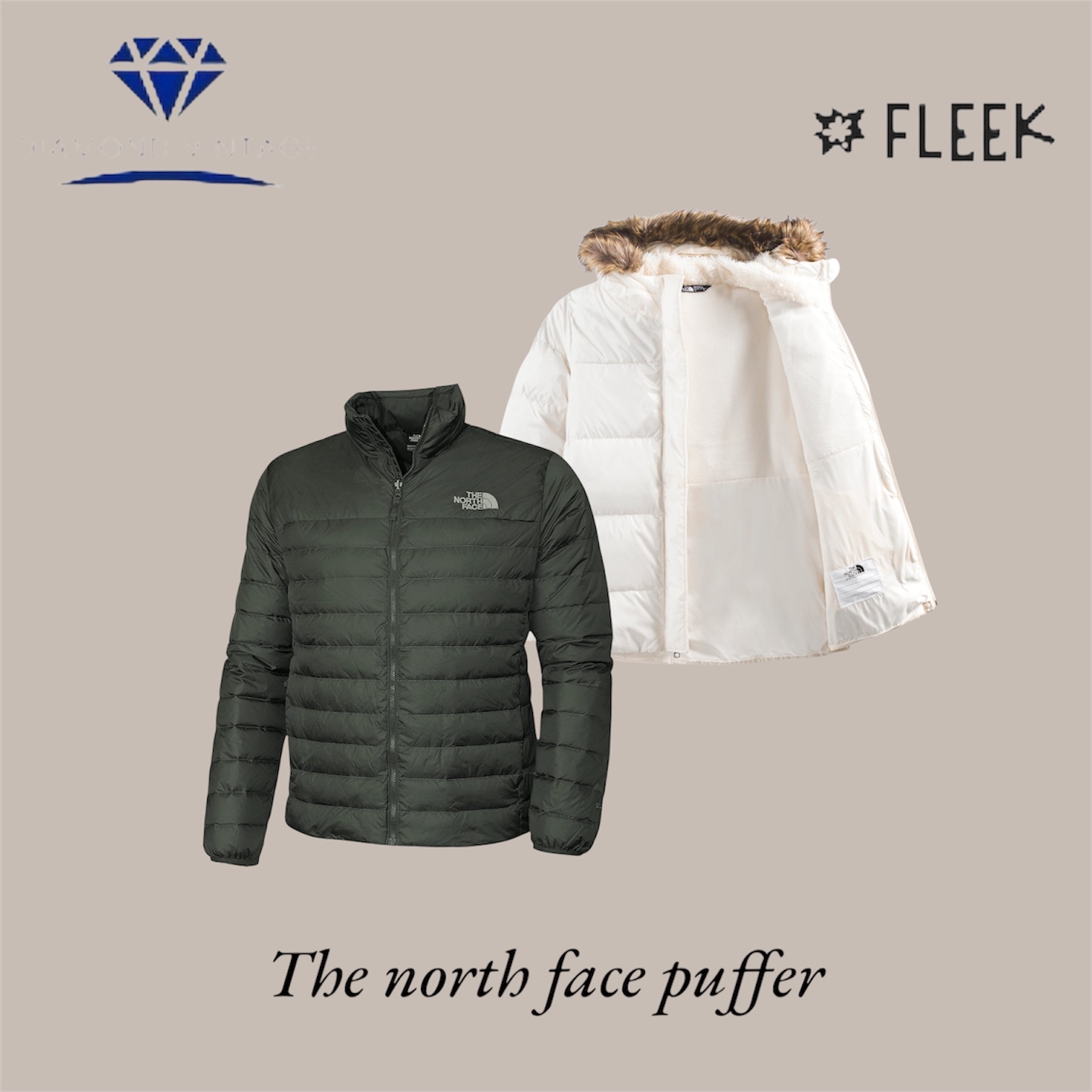 The north face puffer (DV -10-184)
