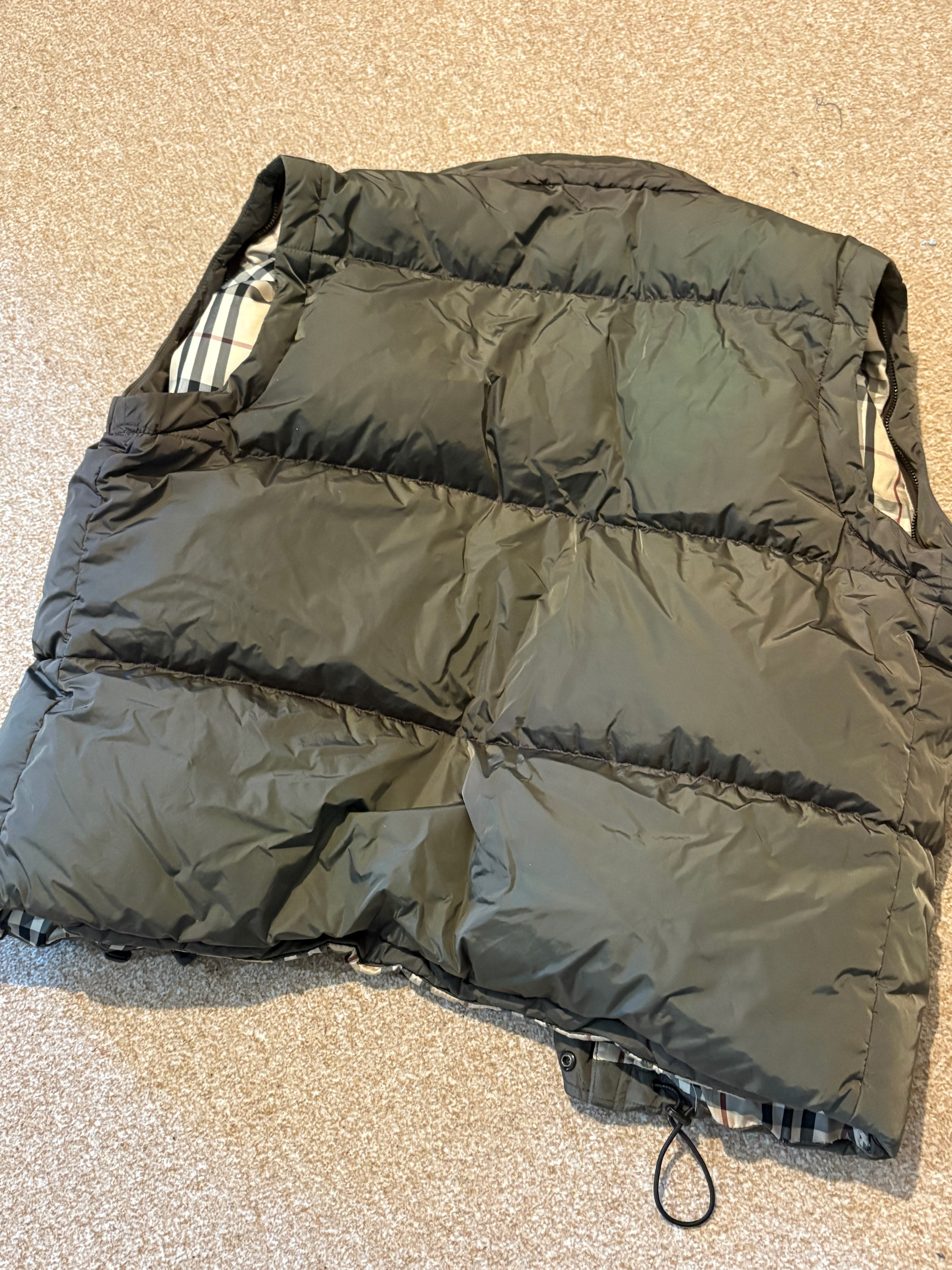 Marmot puffer