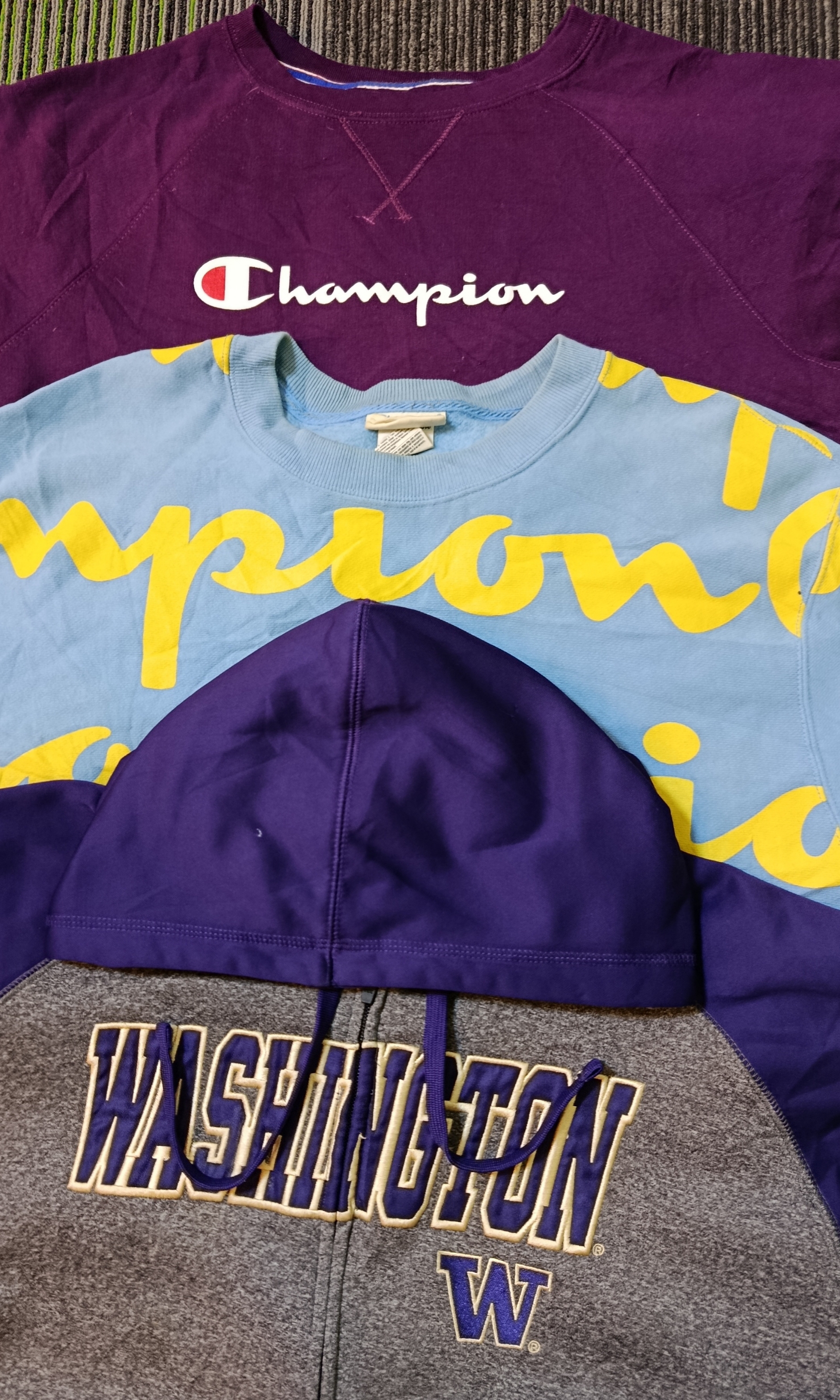 Champion Hoodies/ Sweatshirt (2562)