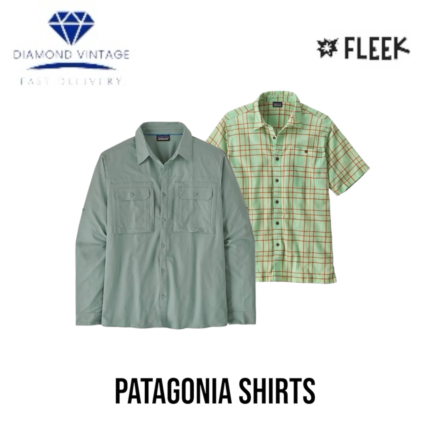 パタゴニア シャツ (DV -10-219)