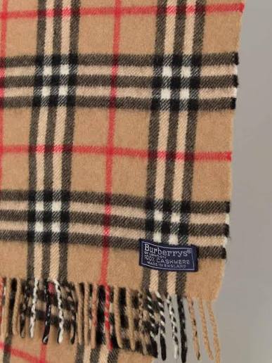 Burberry Scarves