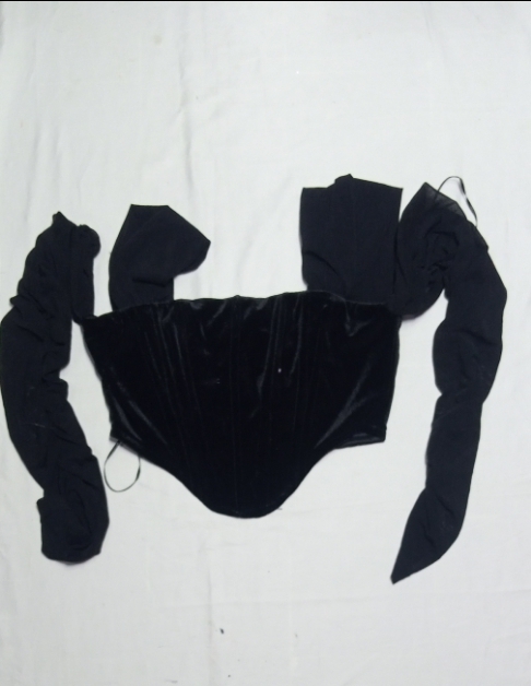 SK#76,  Velvet Crop Long Sleeve Top