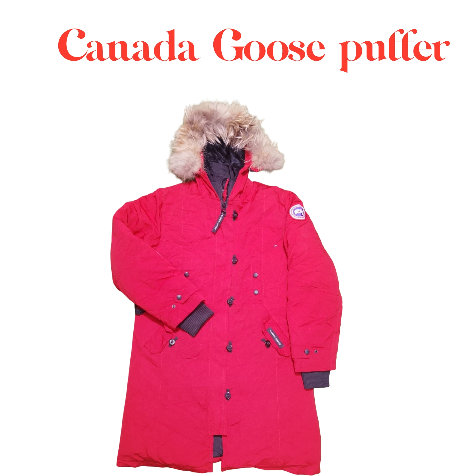 Canada Goose puffer Jackets