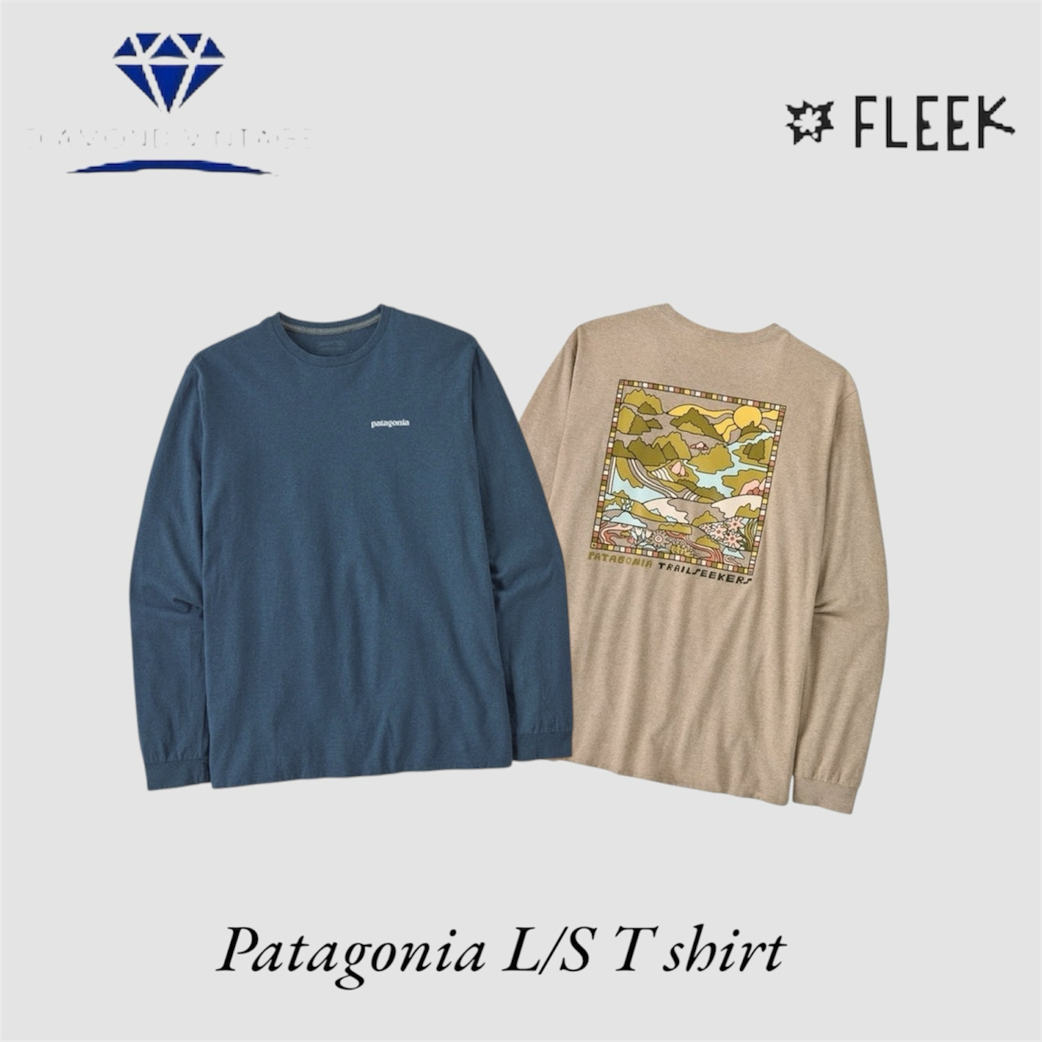 パタゴニア L/S Tシャツ (DV -10-270)