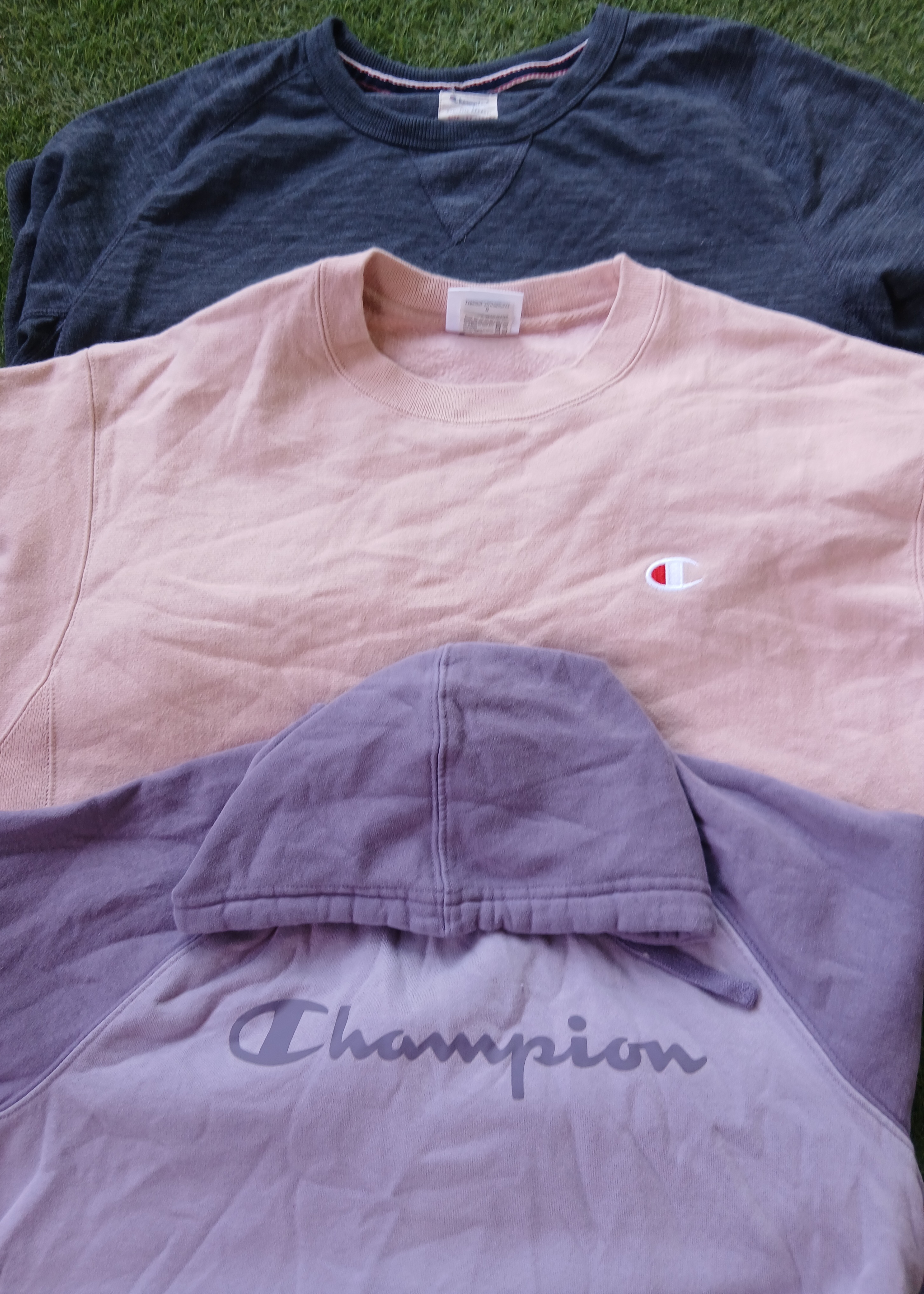 Champion hoodies/sweatshirt 10Pcs (2621)