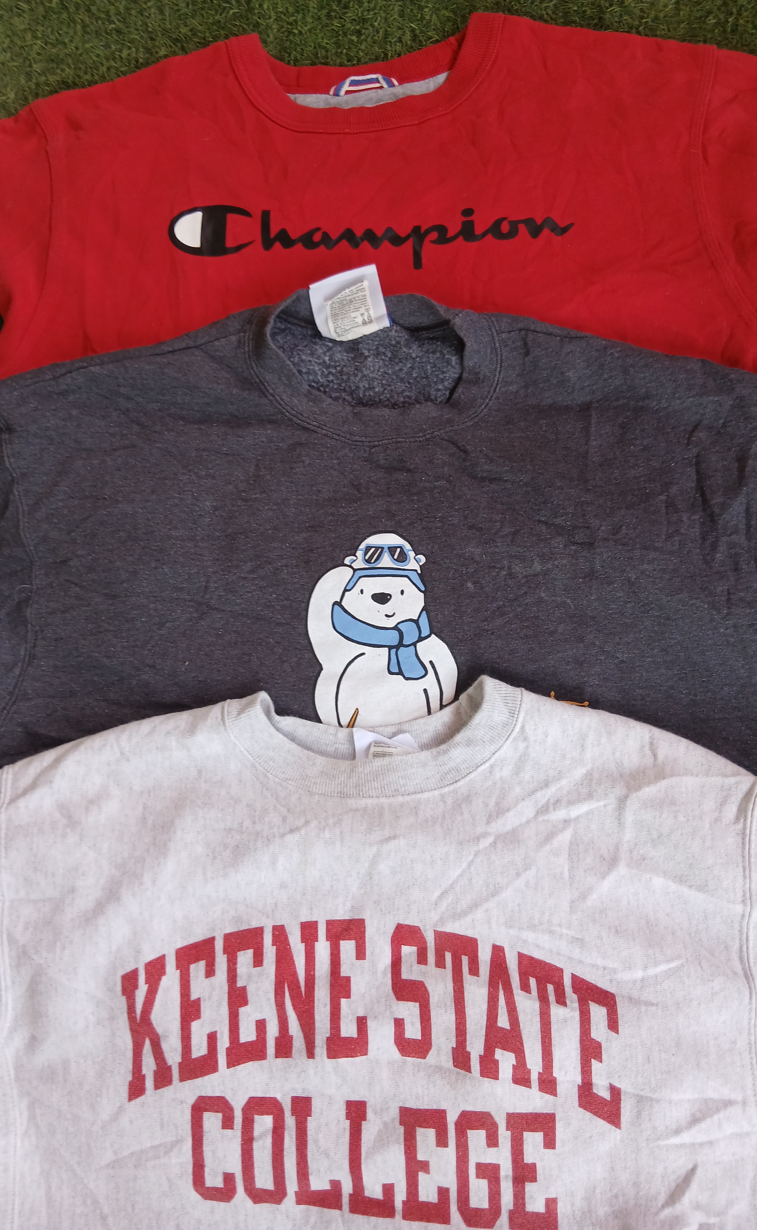 Champion sweat-shirt 11Pcs (2627)