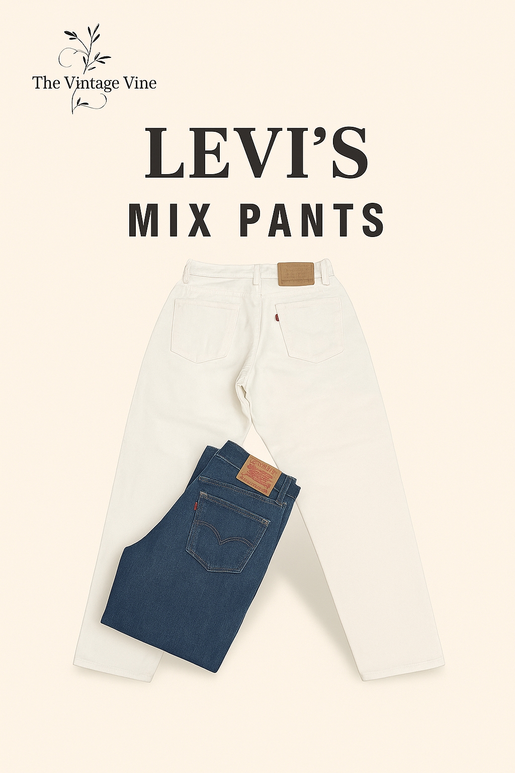 Levis Mix Pants