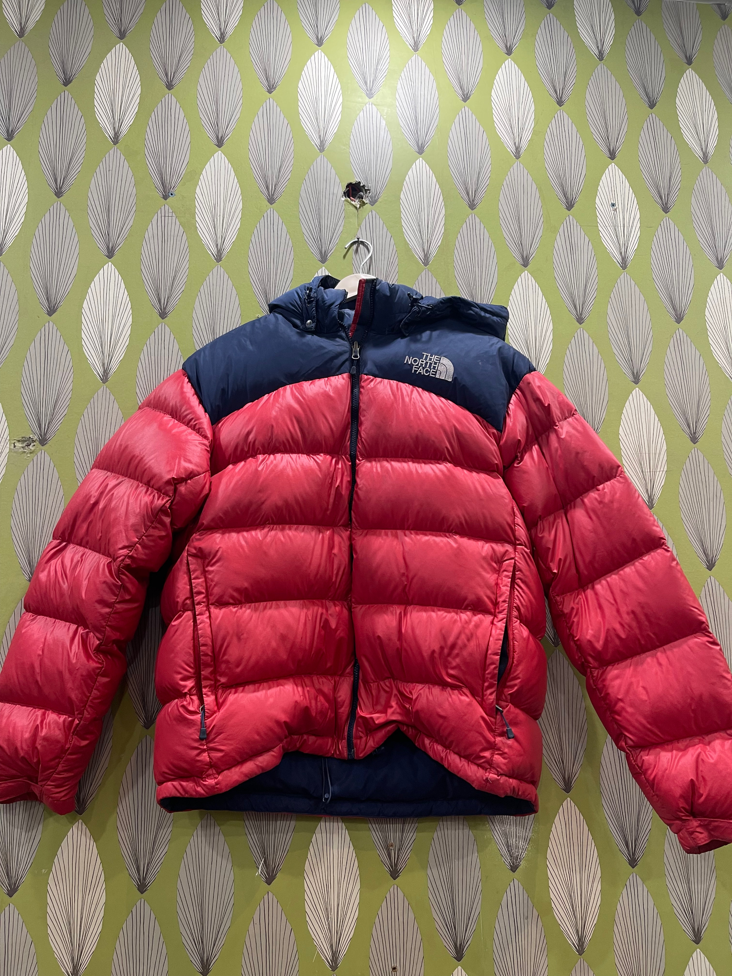 The North face puffers jacket