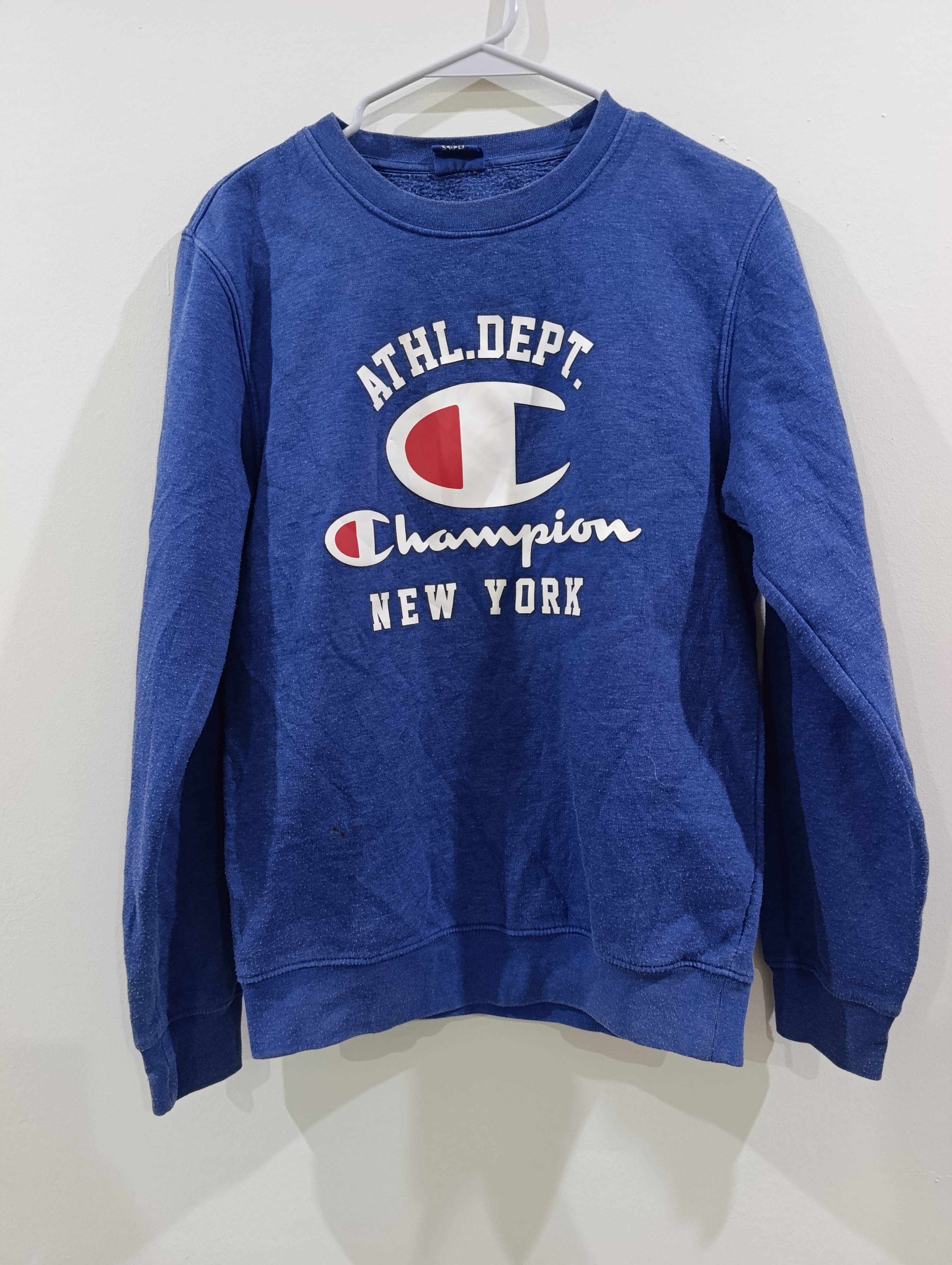 Champion Hoodies/Sweatshirts